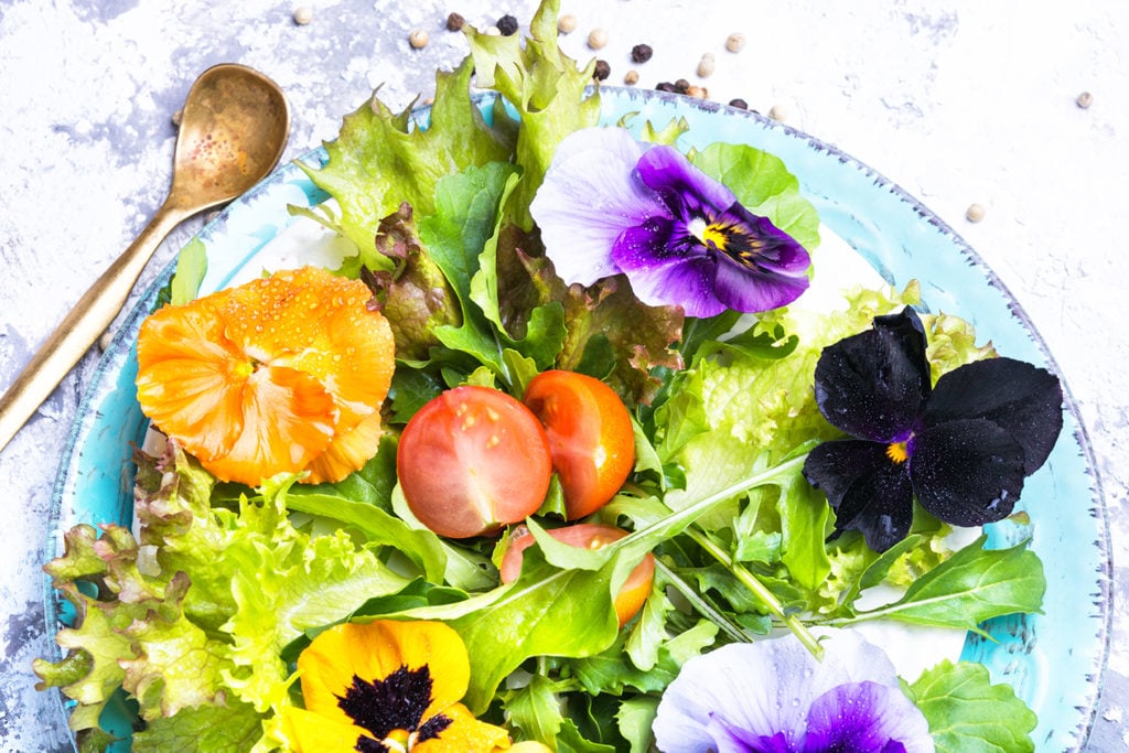 Flores comestibles: cuáles son y cómo agregarlas a la comida