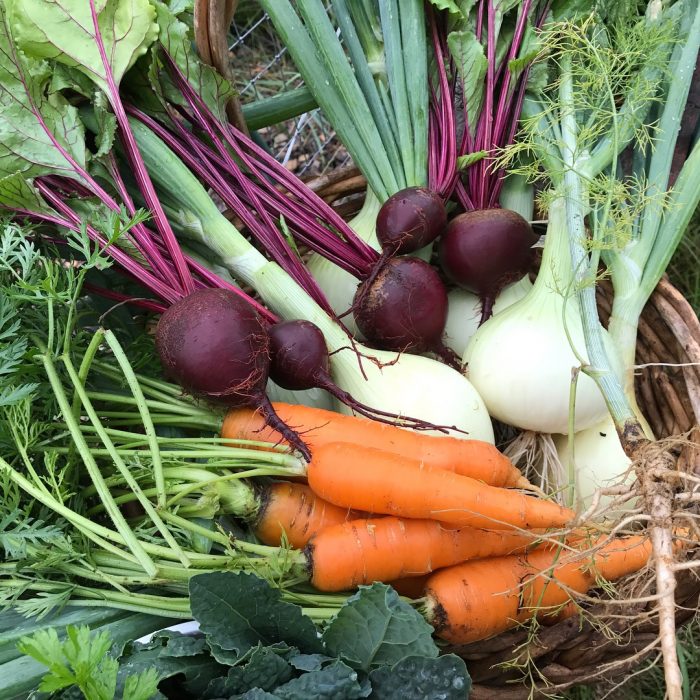 Notas de jardín para otoño e invierno - Veggie Fest