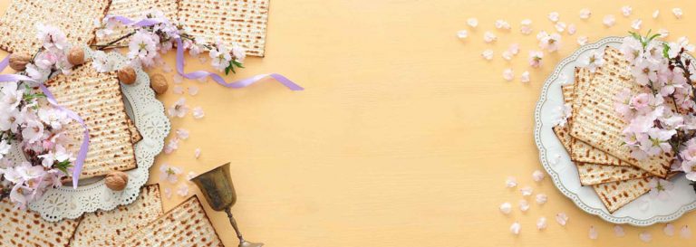 Vegan-Passover-Plate-Banner