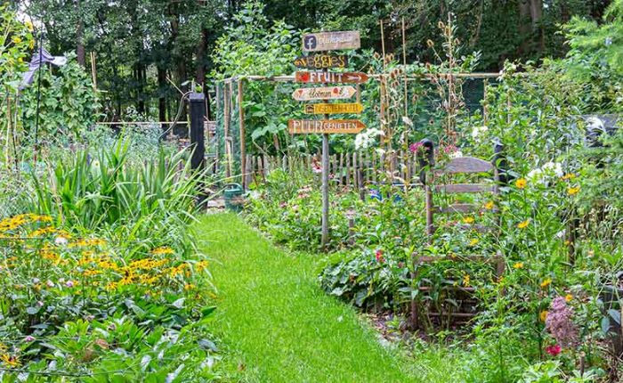 The-Bounty-of-Summer-Gardens-21